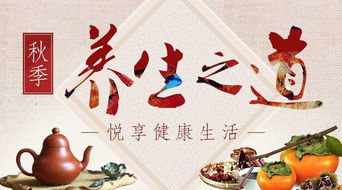 中国保健养生网正式上线转拍网，开启养生保健服务新篇章